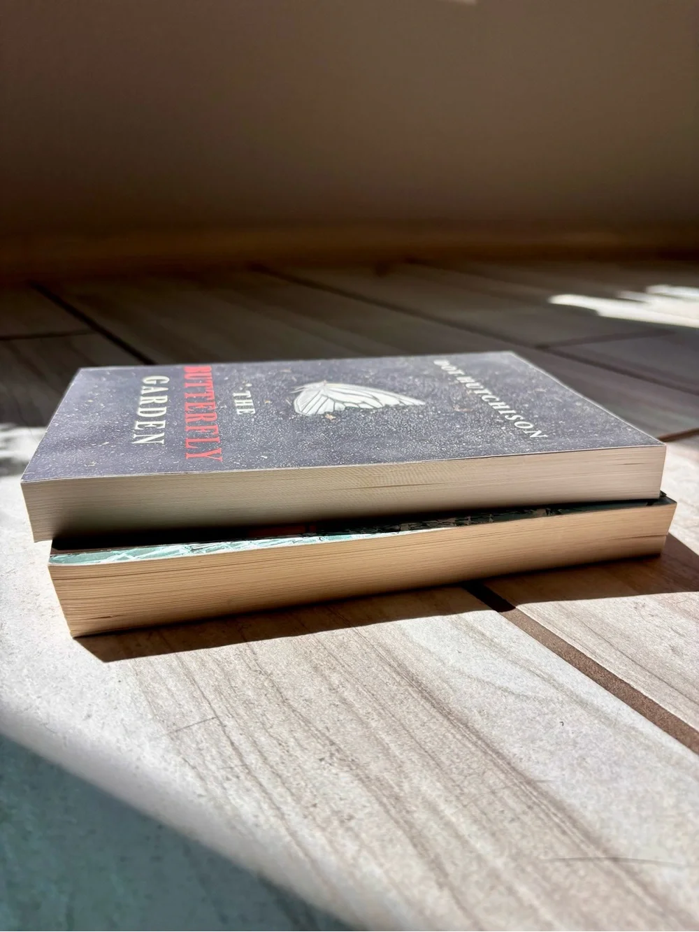 Set of Two Books by Gayle Forman and Dot Hutchinson